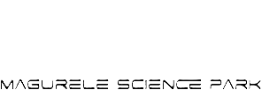 MSP